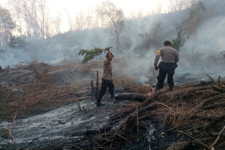 Situasi pemadam kebakaran lahan di kaki gunung Tambora