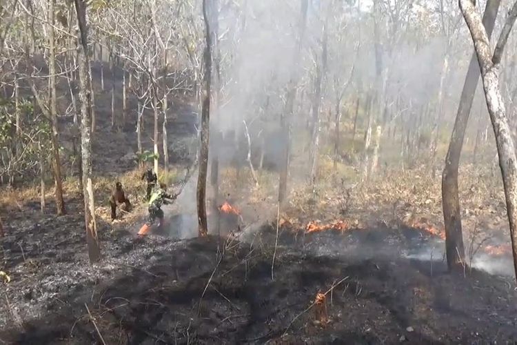 TERBAKAR-- Hutan lindung berisi pohon jati seluas tiga hektar yang berada di Desa Tegalrejo, Kecamatan Pulung, Kabupaten Ponorogo, Jawa Timur dilaporkan terbakar, Selasa (29/8/2023).