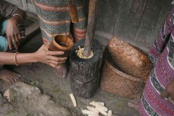 Teknologi Tradisional di Balik Jagung Bose