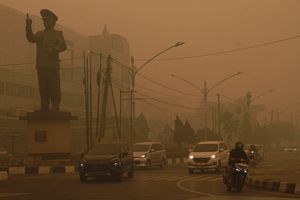 Walhi Siapkan Gugatan terhadap Perusahaan Malaysia dan Singapura Terkait Kabut Asap