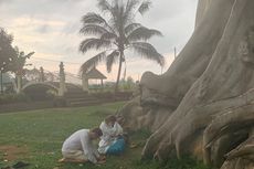 Motif Wanita WNA Berpose Telanjang di Pohon Keramat di Bali demi Konten Media Sosial