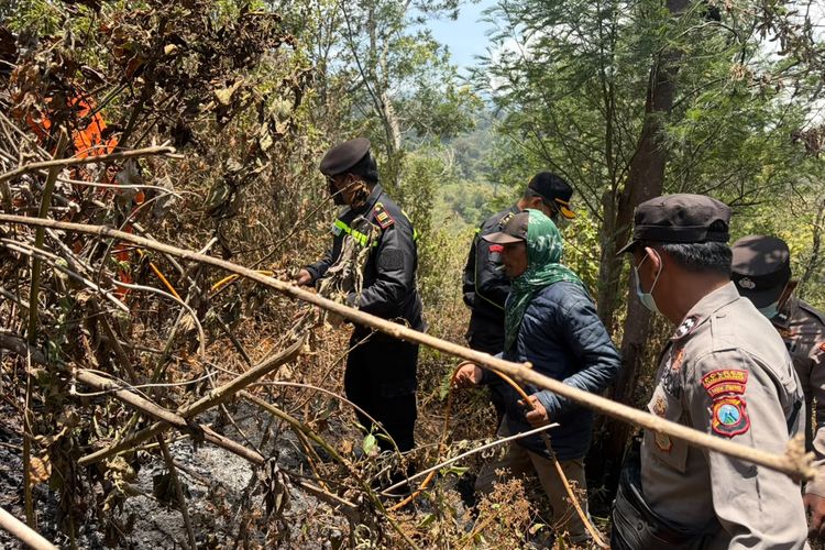 Karhutla TNBTS di Blok Bantengan Lumajang Padam, Luas Area Terbakar Capai 3 Hektare