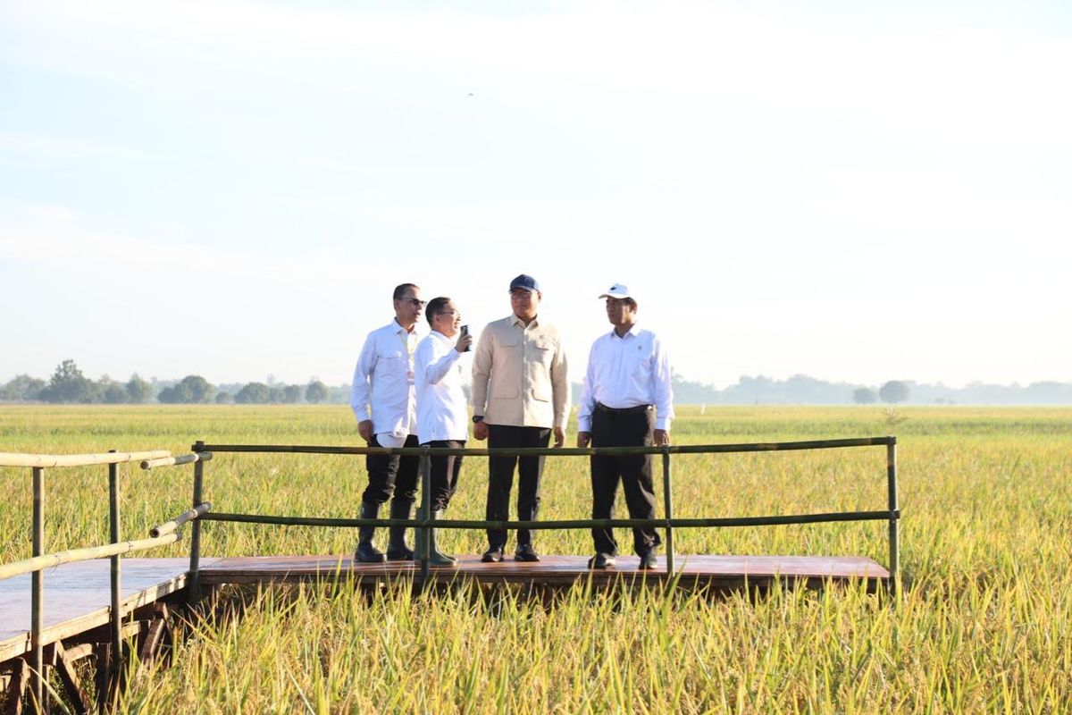 Sok gudang Bulog mencapai angka 3.502.895 ton dari Janurai hingga minggu (4/5/2025). Ini jadi yang tertinggi dalam 57 tahun terakhir.