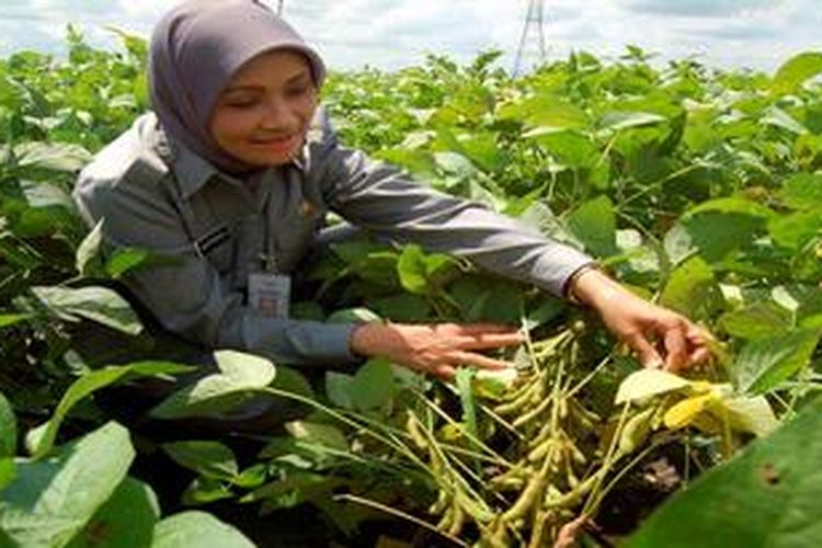 Rustriningsih sewaktu masih menjabat Wakil Gubernur Jawa Tengah.