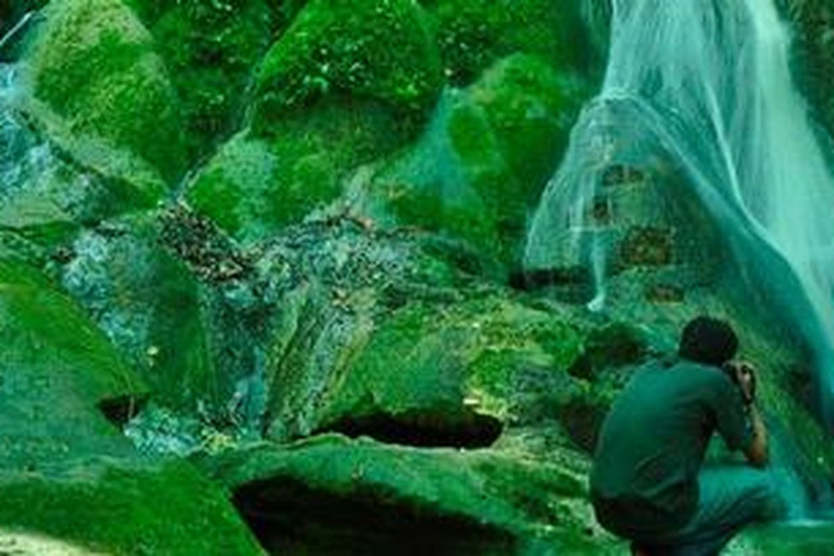Air Terjun Bunga Kokota di Pulau Morotai, Maluku Utara ini dikelola warga setempat sebagai lokasi wisata.