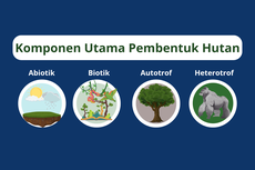 Komponen Utama Pembentuk Hutan