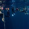 6 Manfaat Kesehatan Freediving, Olahraga Selam Tanpa Alat Bantu Napas