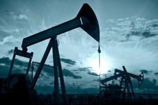 Anggota OPEC Naikkan Harga Minyak, Pemerintah Klaim Tidak Khawatir