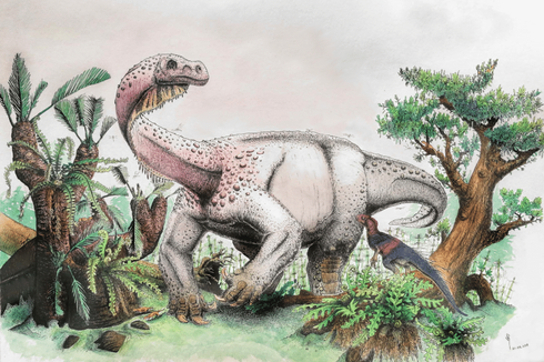 Begini Cara Ilmuwan Menamai Dinosaurus