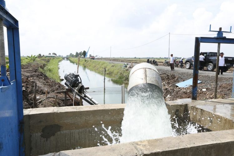 Polder mini milik Kementerian Pertanian