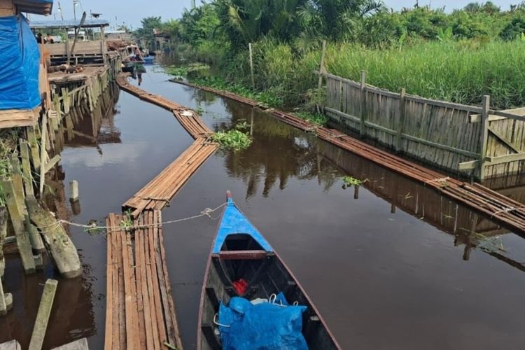 Polisi Tangkap 2 Pelaku Illegal Logging di Rohil, Sita 483 Keping Kayu Seberat 10 Ton