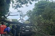 Pohon Tumbang Timpa Mobil dan Motor di Cilandak, 1 Orang Terluka