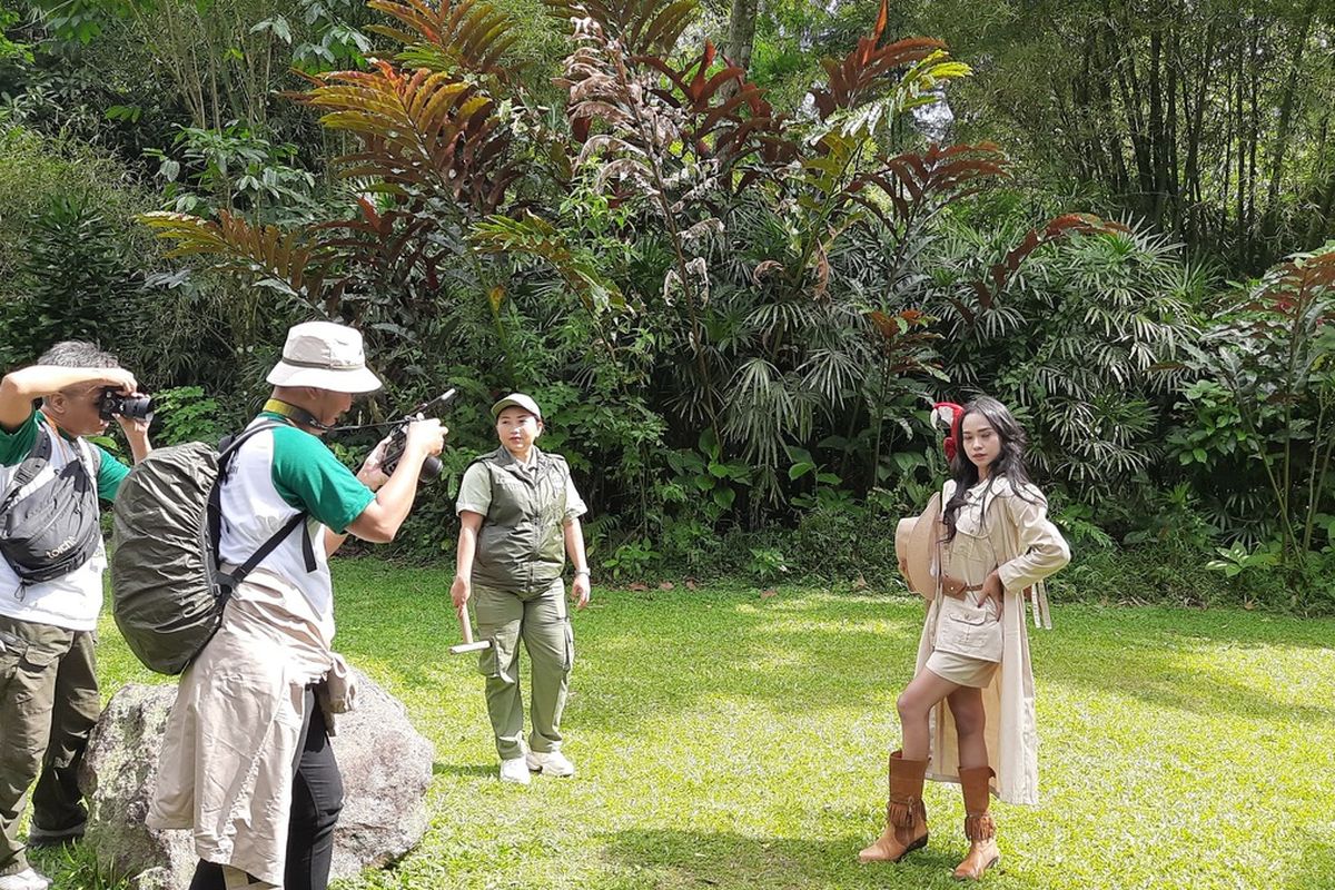IAPVC 2025, Lomba Foto dari Taman Safari Berhadiah Ratusan Juta Rupiah