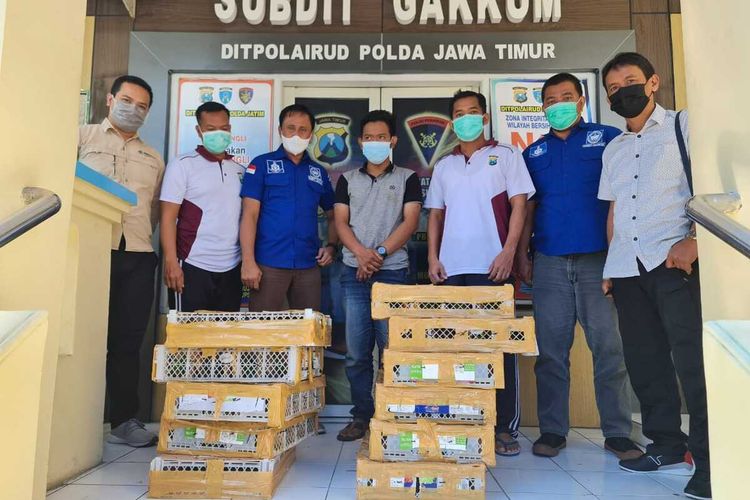 Barang bukti ratusan burung dilindungi yang diselundupkan ke Surabaya.