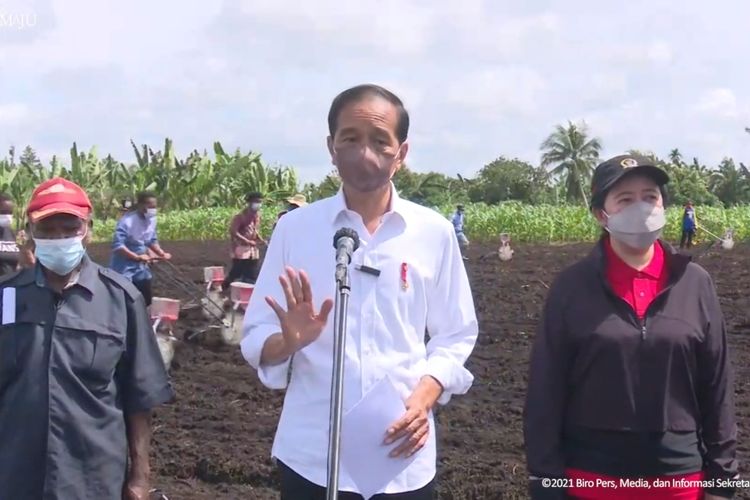 Foto tangkapan layar YouTube Sekretariat Presiden: Presiden Joko Widodo  meninjau lahan pertanian di Kelurahan Klamesen, Kabupaten Sorong, Papua Barat, Senin (4/10/2021). 