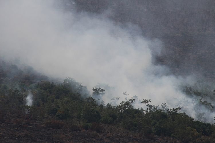 Kebakaran lahan gambut di Desa Cinta Jaya, Kabupaten Ogan Komering Ilir (OKI), Sumatera Selatan masih terjadi yang sudah berlangsung sejak lima hari terakhir, Kamis (19/7/2018)