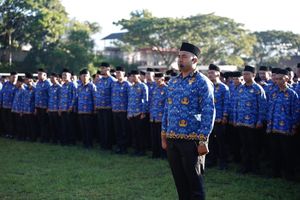 Pemda Kesulitan Bayar Gaji Pegawai , Moratorium Pengangkatan PPPK Jadi Solusi?
