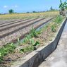 Di Tengah Pandemi, Pembangunan Infrastruktur Pertanian di Bali Tetap Berjalan