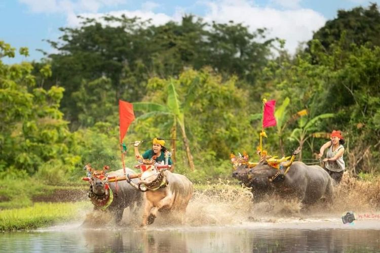 Mekepung Lampit di Desa Manistutu Bali