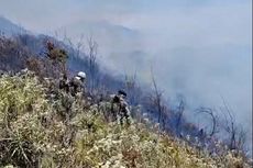 Gunung Bromo Kebakaran 19 Juni 2024, Wisata Tetap Buka
