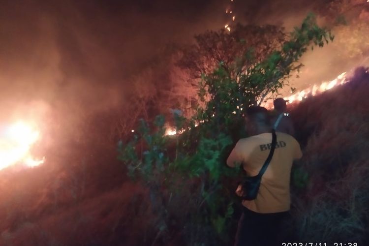 Kebakaran hutan seluas 25 hektar di Desa Pemuteran, Kecamatan Gerokgak, Kabupaten Buleleng, Provinsi Bali, Selasa (11/7/2023) malam
