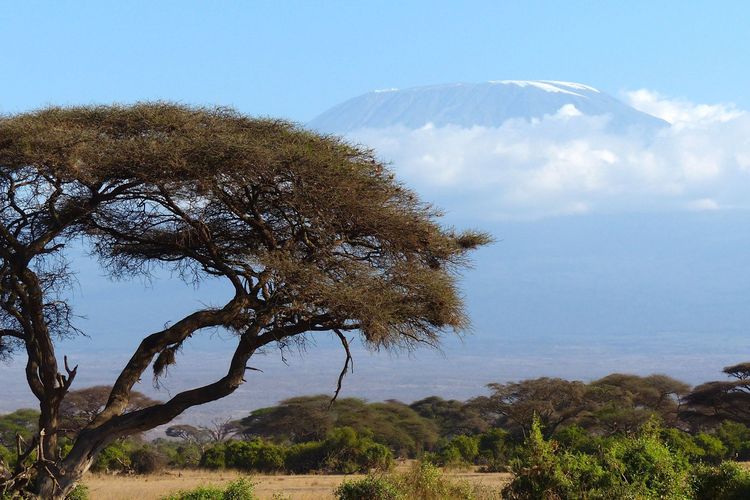 Taman Nasional Gunung Kilimanjaro