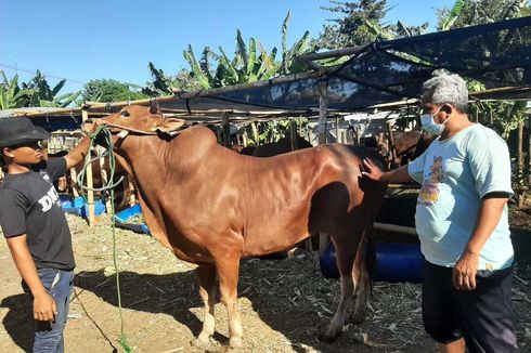 Penjual Hewan Kurban di Surabaya: Berapa Pun Terjual Disyukuri Saja, Semoga Pandemi Segera Berakhir