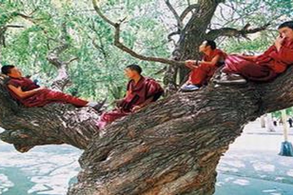 Ilustrasi: Biksu Tibet