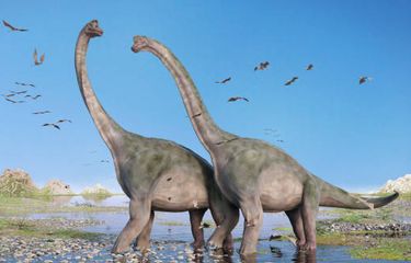 Ilustrasi Brachiosaurus, salah satu dinosaurus berleher panjang.