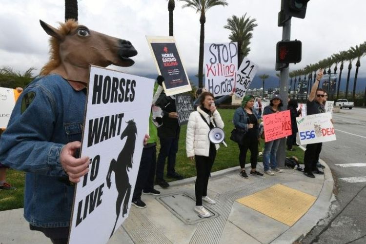 Aktivis hewan memprotes kematian puluhan kuda pacu dalam dua bulan pertama tahun ini di Arena Balap Santa Anita di Arcadia, California, AS, Minggu (3/3/2019). (AFP/MARK RALSTON)