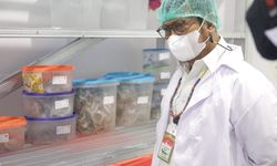 Sarang Walet Siap Jadi Komoditas Unggulan di Kalbar, Kementan Beri Dukungan Penuh