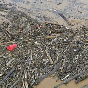 BANJIR SUMBAR: Foto udara anak-anak berada di antara potongan kayu gelondongan yang bertumpuk di pantai Air Tawar, Padang, Sumatera Barat, Jumat (28/11/2025). Sampah kayu gelondongan itu menumpuk di sepanjang pantai Padang pasca banjir bandang beberapa hari terakhir.  