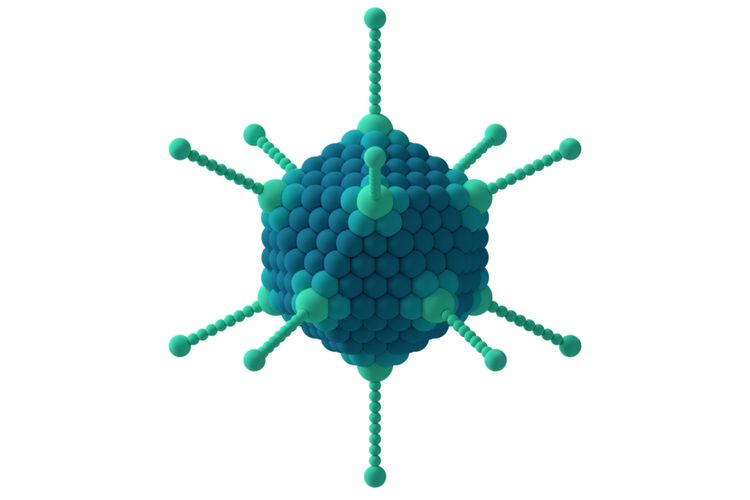 Virus ikosahedral