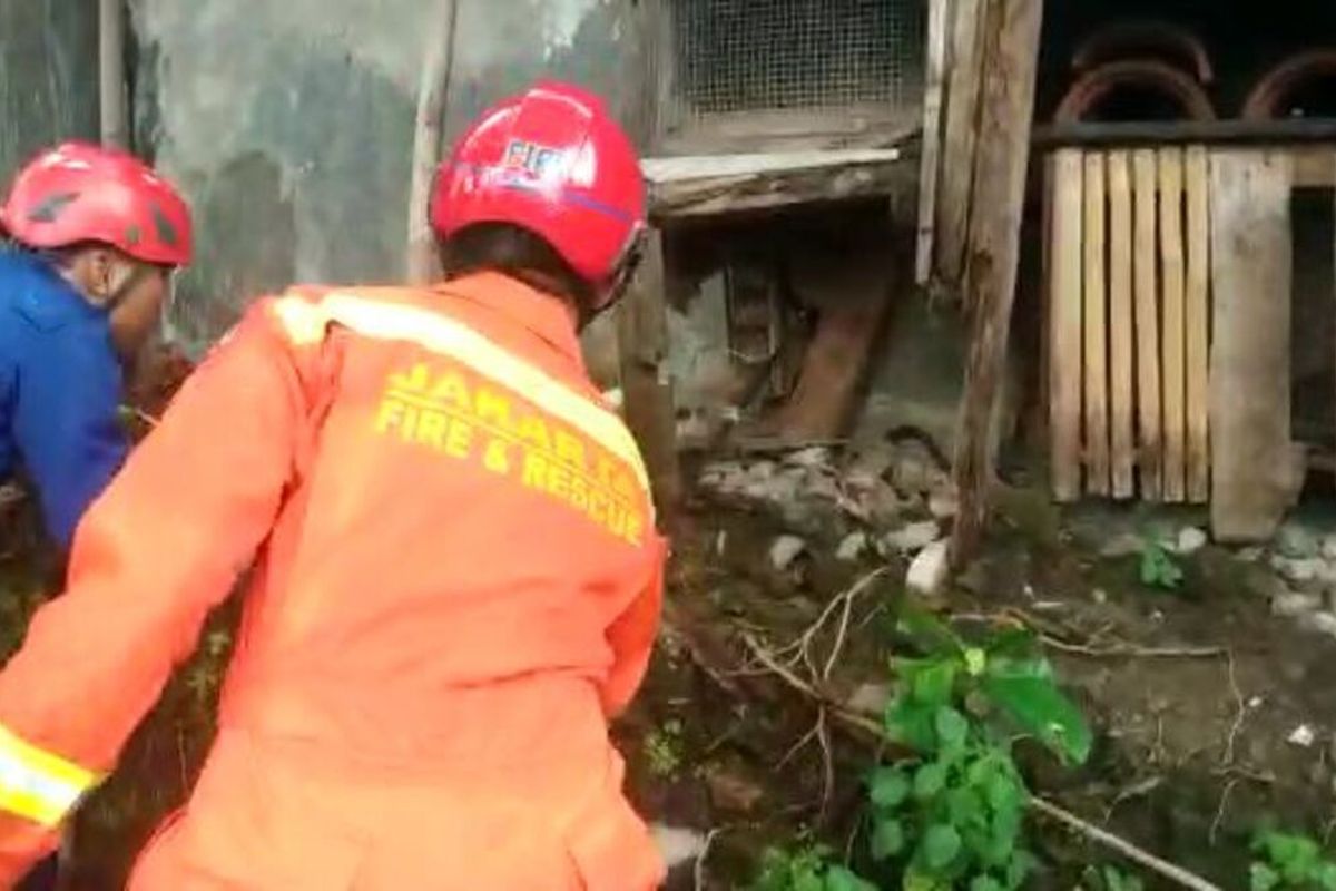 Petugas Suku Dinas Penanggulangan Kebakaran dan Penyelamatan (Sudin PKP) Jakarta Timur saat evakuasi seekor Ular Koros di dalam kawasan pemakaman, Jalan Gandaria, Gang Idaman, RW 09, Pasar Rebo, Jakarta Timur, Jumat (14/2/2020).