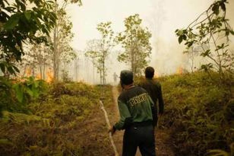 Polisi hutan berusaha memadamkan api di Taman Nasional Tanjung Puting, Kotawaringin Barat, Kalimantan Tengah, Senin (26/10/2015). Sejak akhir bulan September 2015, para relawan yang berasal dari berbagai lembaga maupun organisasi berjibaku memadamkan api yang menghanguskan sedikitnya 90.000 hektar hutan di TNTP.