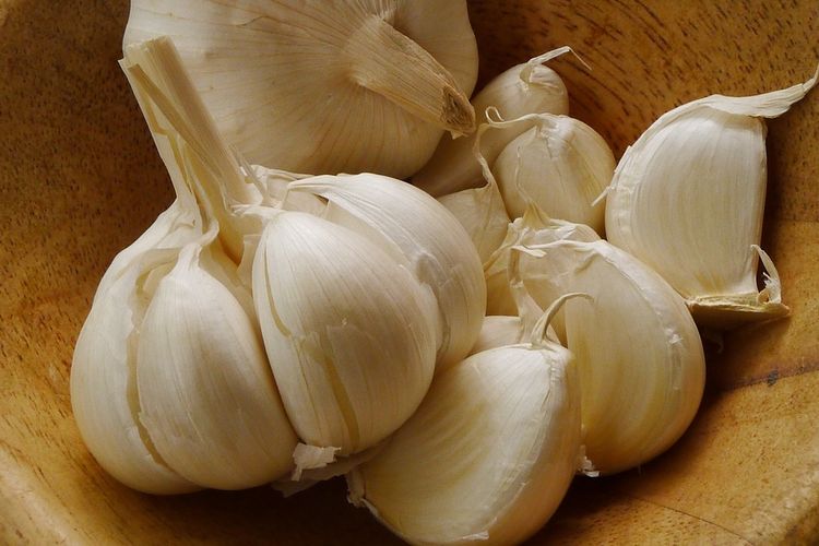 Ilustrasi bawang putih. 