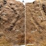 Jejak Kaki Berusia 120.000 Tahun Ditemukan di Arab Saudi, seperti Apa Persisnya?