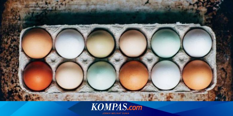 Mengapa Warna Telur Ayam Bisa Berbeda Halaman All Kompas Com