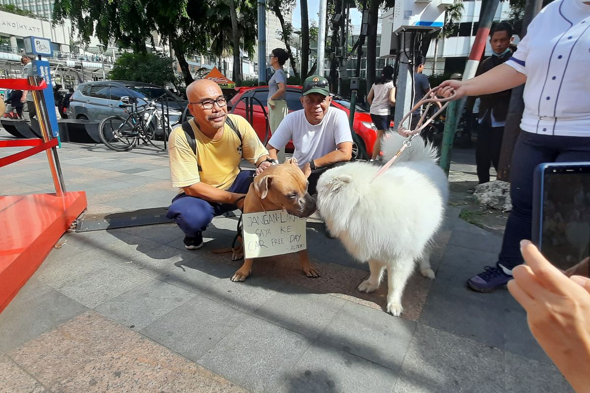 Komunitas pecinta anjing yang mengatasnamakan  Dog Lovers mendatangi car free day (CFD) di Bundaran Hotel Indonesia (HI), Jakarta Pusat, Minggu (30/10/2022) pagi.