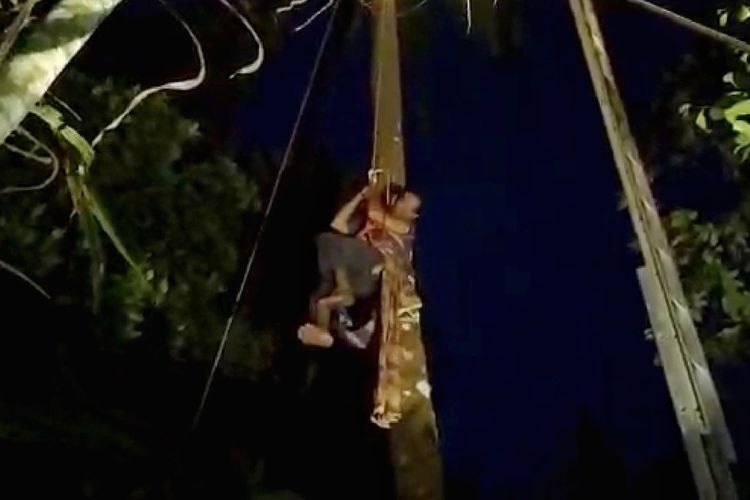 Sahwan (43), warga Desa Majatengah, Kecamatan Kemangkon, Purbalingga, Jawa Tengah, terjebak selama tiga jam di atas pohon kelapa pada Minggu (24/5/2020) kemarin.
