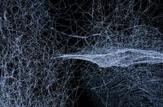 WNA Asal PNG Dianiaya hingga Tewas di Jayapura, Satu Pelaku Ditangkap