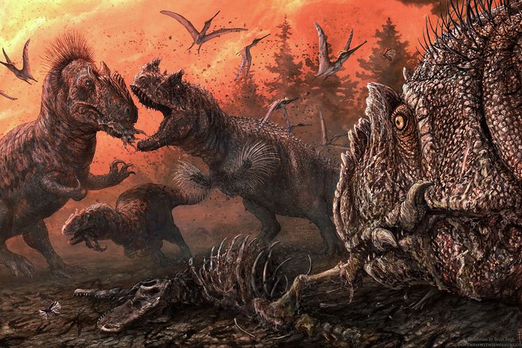 Ilustrasi menunjukkan dinosaurus karnivora, Ceratosaurus dan Allosaurus berebut bangkai kering dari theropoda lain. Perilaku kanibalisme di antara spesies dinosaurus pemakan daging.