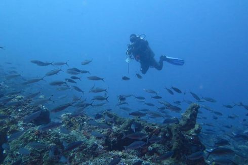 Desa Wisata Bondalem di Bali, Punya Spot Diving dan Lihat Lumba-lumba