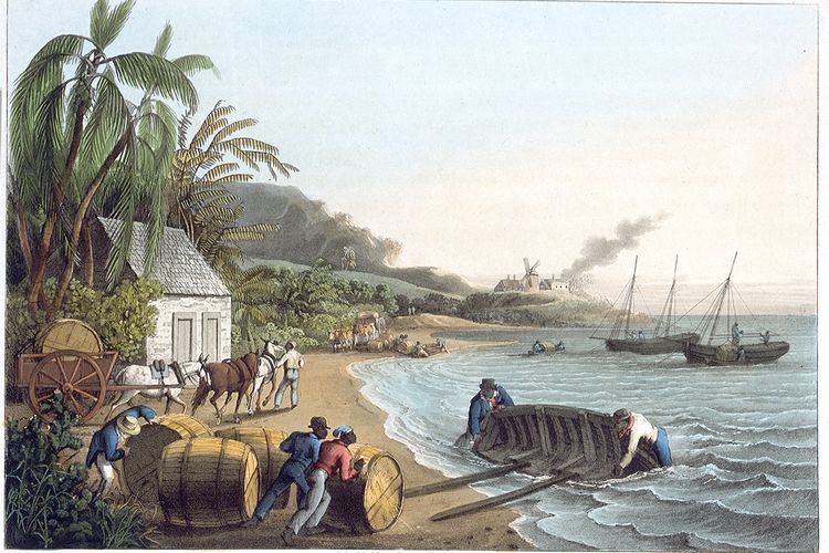 Ilustrasi pengiriman gula pada masa penjajahan Inggris di Amerika.