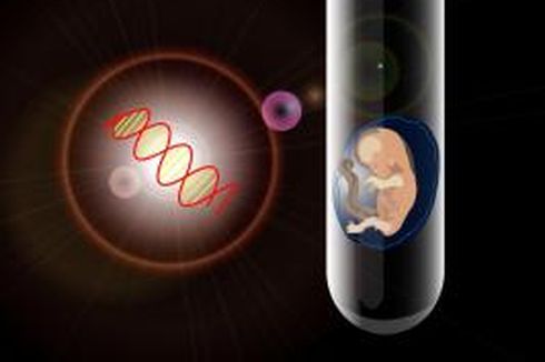 Lebih Sedikit Embrio, Keberhasilan Bayi Tabung Tetap Tinggi