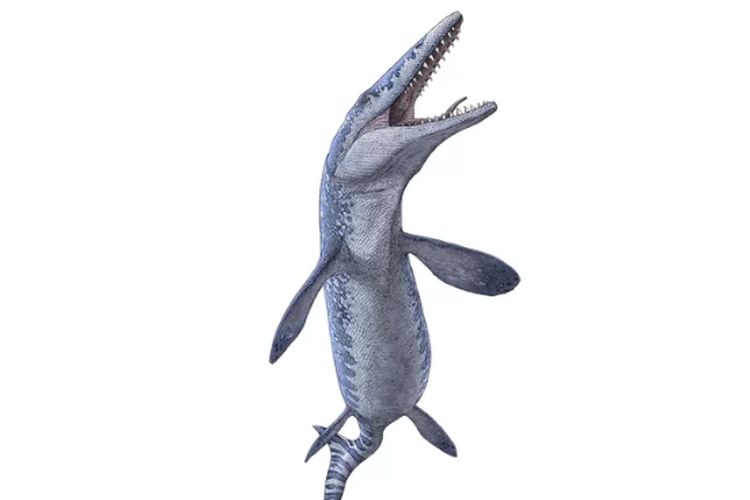ilustrasi mosasaurus