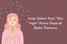 Imaji dalam Puisi "Aku Ingin" Karya Sapardi Djoko Damono