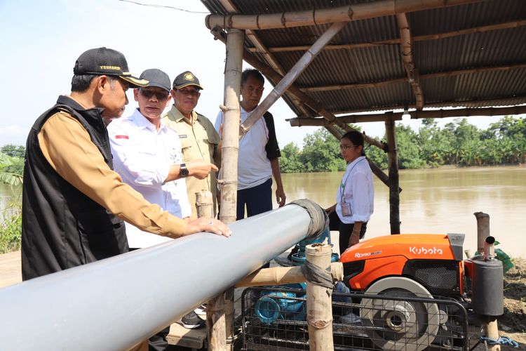 Direktur Jenderal (Dirjen) Prasarana dan Sarana Pertanian (PSP) Kementan Ali Jamil saat meninjau percepatan tanam di Desa Pringgoboyo dan Desa Turi, Lamongan, Jawa Timur (Jatim), Selasa (19/3/2024).
