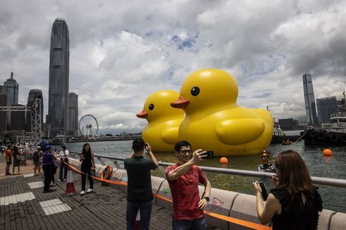 2 Bebek Raksasa Mengapung di Perairan Hong Kong, Ada Apa?
