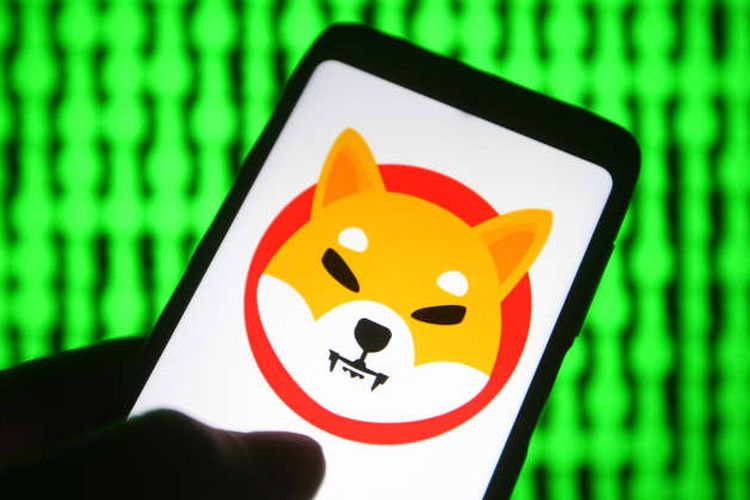 Harga Kripto Shiba Inu Meroket Pemilik Ketiban Untung Halaman All - Kompascom